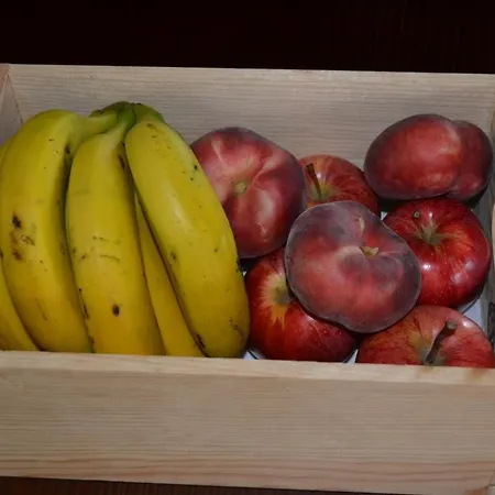 Casa de Férias Casa Rustica O Facho